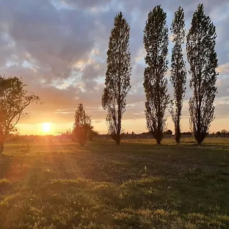De Charme En Campagne Girondine: Le Domaine De Mongeret Apartamento *
